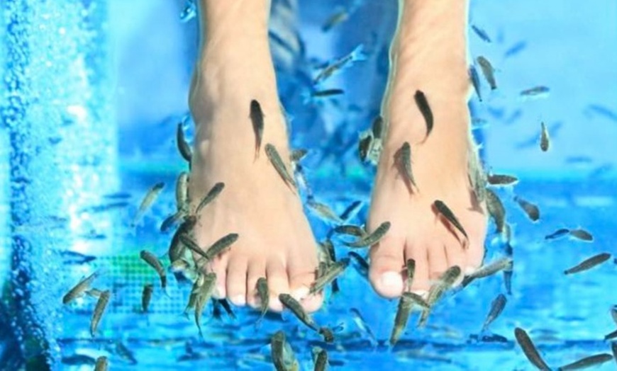 Image 1: Individual or Couple's Fish Spa Experience at Garra Fish Spa