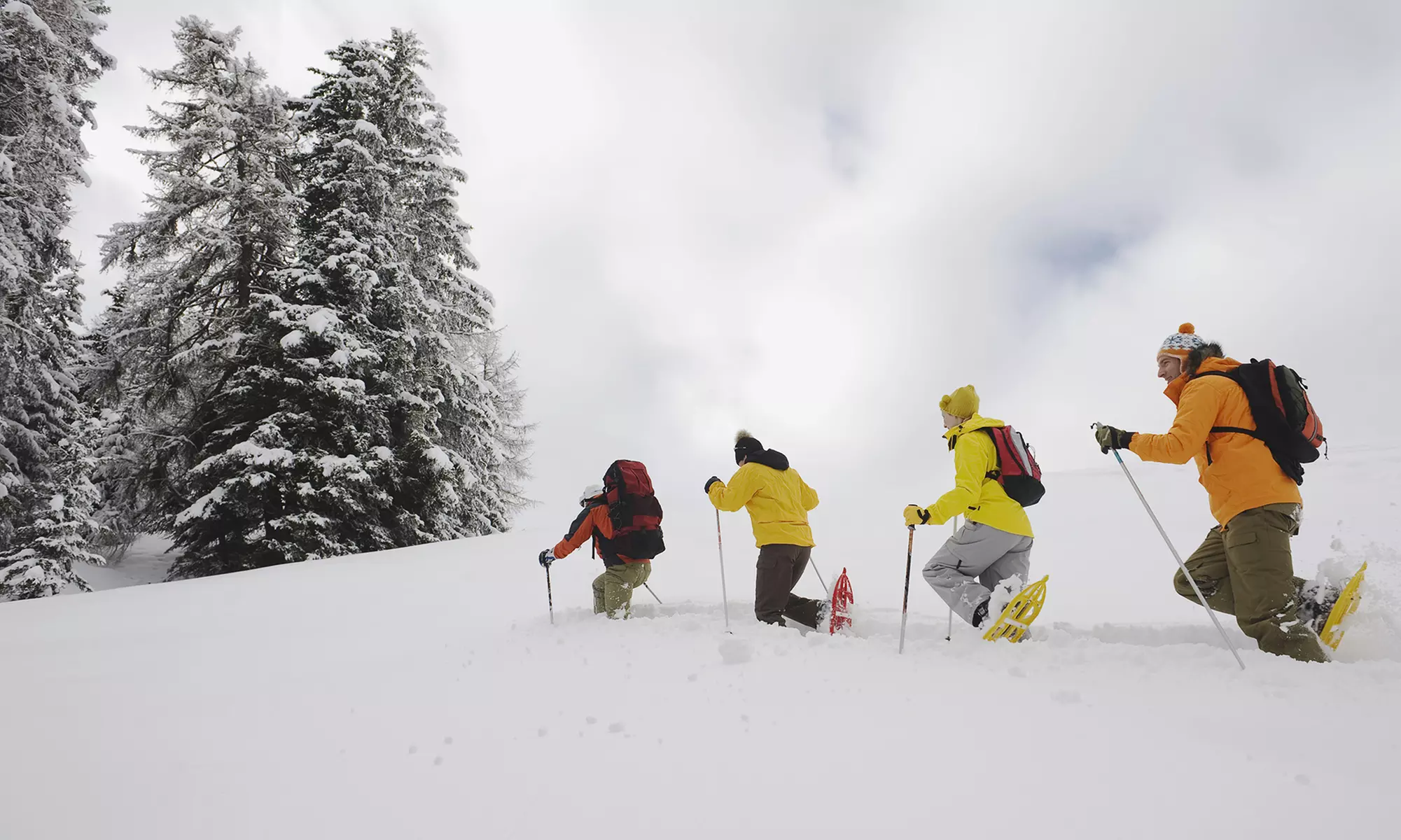 Half-Day Snowshoeing Trip for One or Two with Fondue and Hot Cider from Apex Ex (Up to 54% Off) - Primary Image