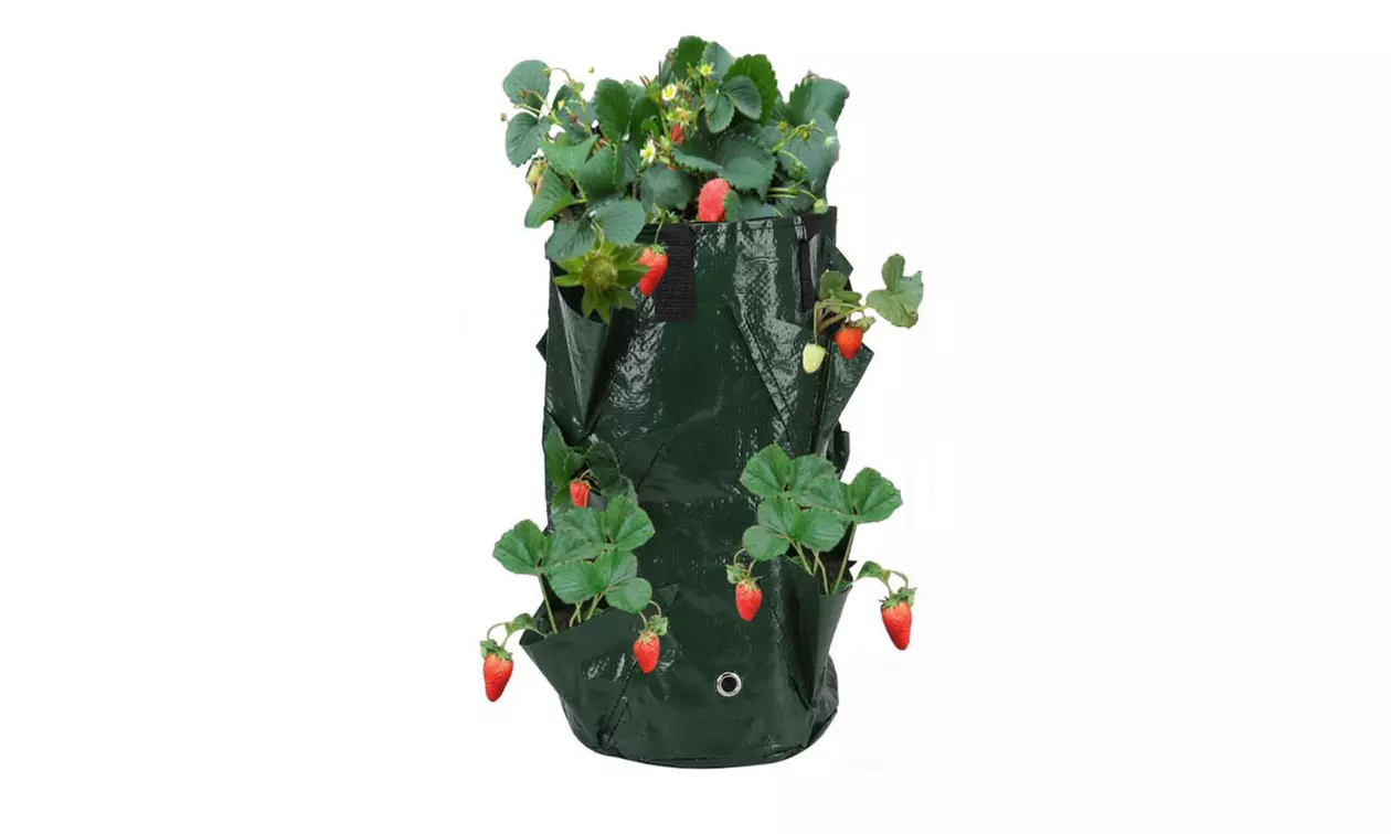 3 Gallon Strawberry Grow Bag Strawberry Plant Bag with 8 Side Planting Pockets