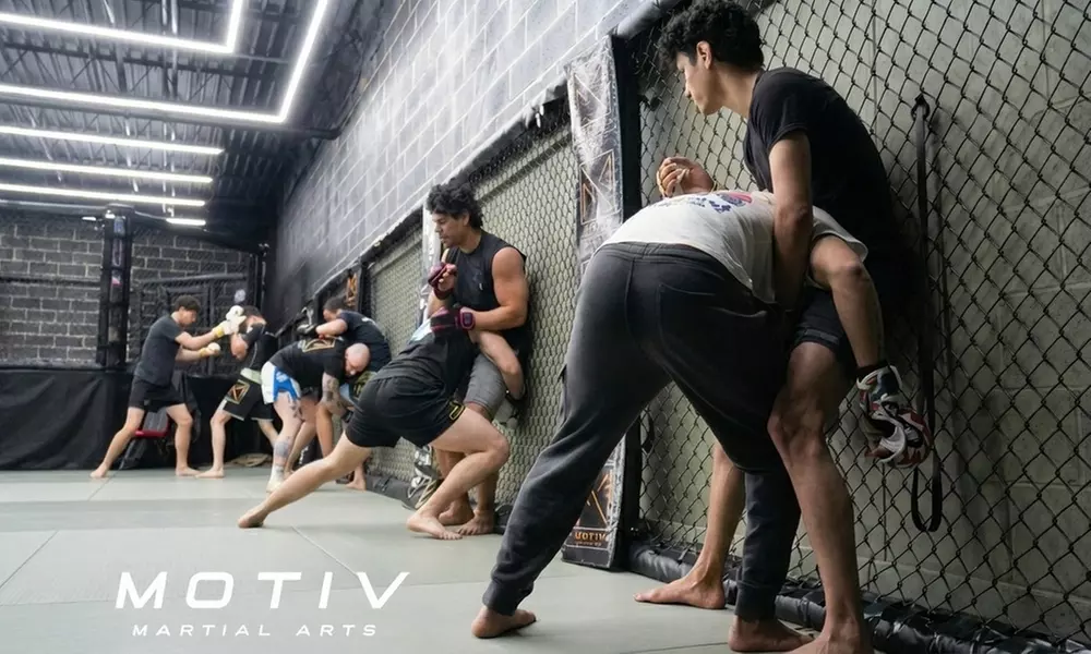 Four Days of Unlimited Martial Arts and Fitness Training