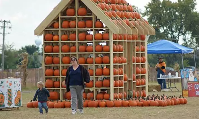 Family Farm Fun with Corn Maze, Pumpkin Patch, Hay Rides & More