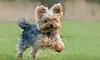 Up to 66% Off on  at Tellier Photography Designs