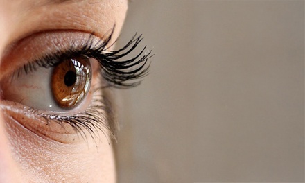 Fill of natural set of eyelashes  - Simply Shear and Spa