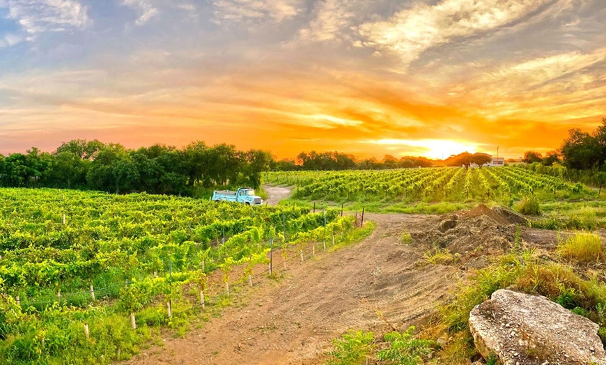 Image 26: Hill Country views, winery, spa, and laid-back Texas vibes