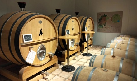 Visita a los viñedos con cata de 4 vinos de alta gama para dos personas - Bodega Cap de Ruc