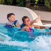 Image 1: Admission to Turtle Creek Waterpark for Family-Friendly Summer Fun