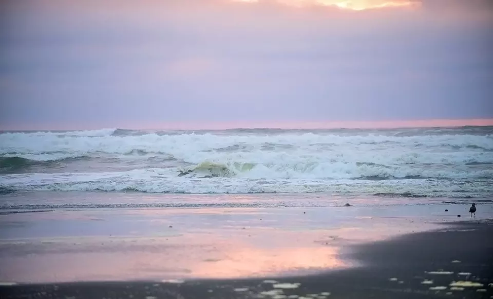 2-Night Stay at Our Place at the Beach Motel in Long Beach, WA - Primary Image