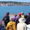 Image 6: Set Sail! Coastal Day Cruises with Breathtaking Views