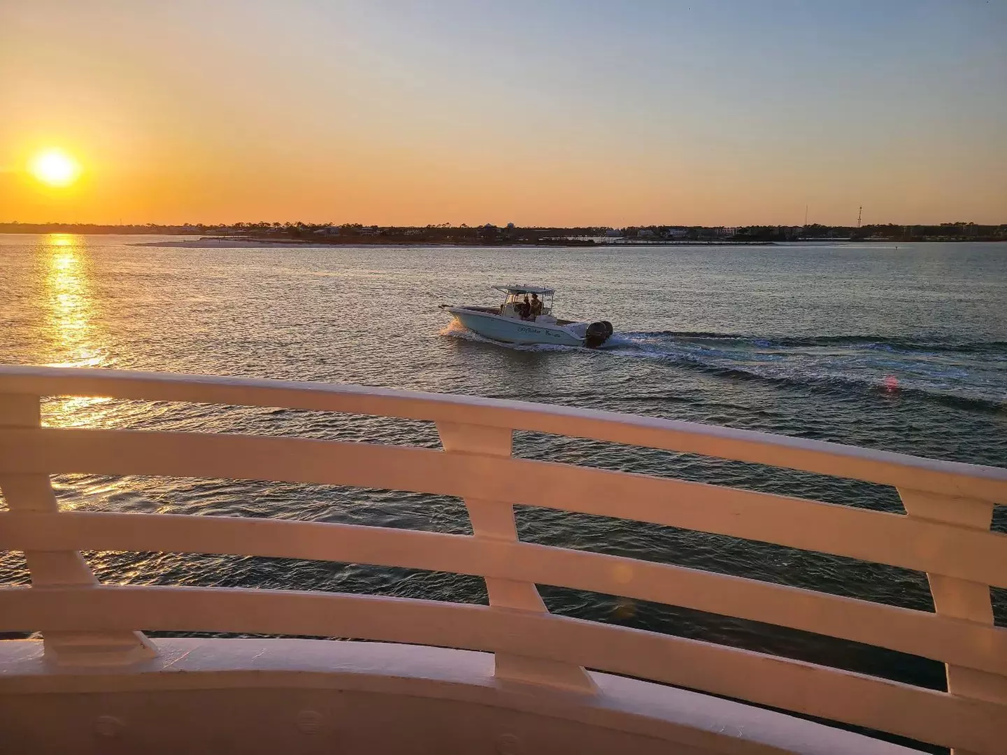 Daytime Gulf of Mexico Dolphin Cruise w/ Sight Guarantee
