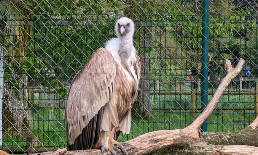 Image 14: Balade nature et biodiversité à deux pas de Paris