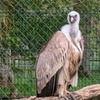 Image 14: Balade nature et biodiversité à deux pas de Paris