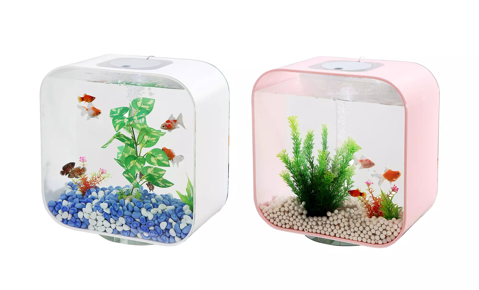8-Gallon Aquarium - Primary Image