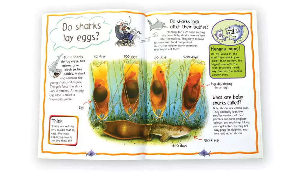 Children's Educational First Questions & Answers Books (8-Book Set) - Second Medium