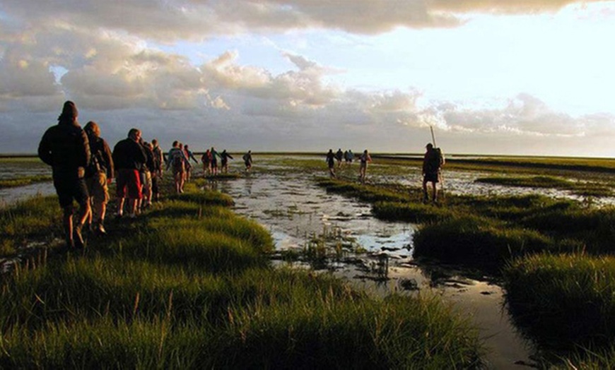Image 1: Tour durch das Wattenmeer & Natur von Wadlopen-Pieterburen