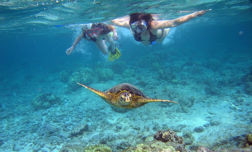Image 2: 3-hour Snorkeling Experience on SeaRay Sundeck 26' for 4, 6, or 8