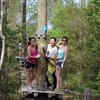 Image 6: Admission to Orlando's Most Thrilling Tree Top Obstacle Adventure
