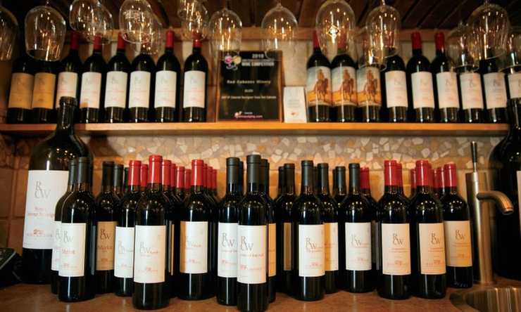 Explore Diverse Wine Tasting Experiences for Groups or Solo