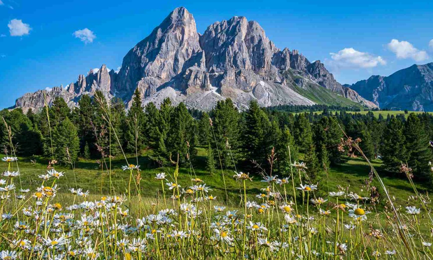 Image 4: Buono Sconto da 50, 100 o 150 € per pacchetto vacanza Jonas