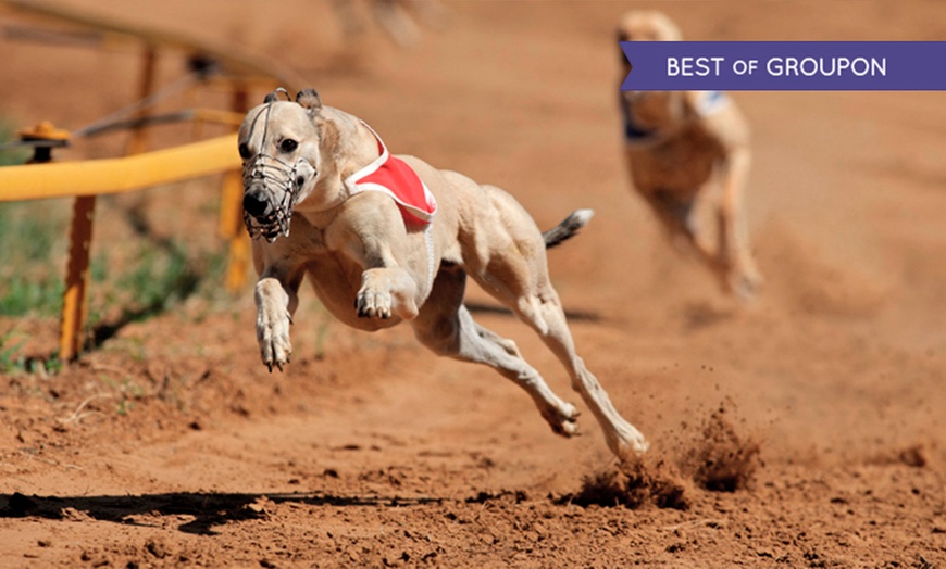 Image 1: Dog Racing With Food and Drinks