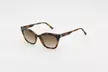 Ted Baker Classic Acetate Sunglasses Collection - Timeless Everyday Styles - Image 3