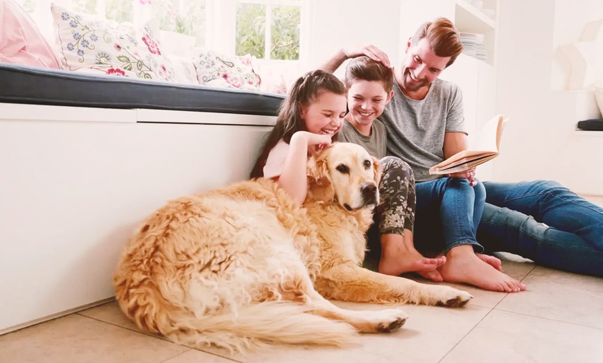 Image 3: Up to 70% Off on Pest Control Service - General at Blue Door Pest Control