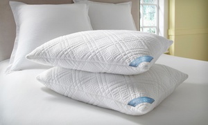 kathy ireland RESORT 2-Pack of Memory-Foam Pillows