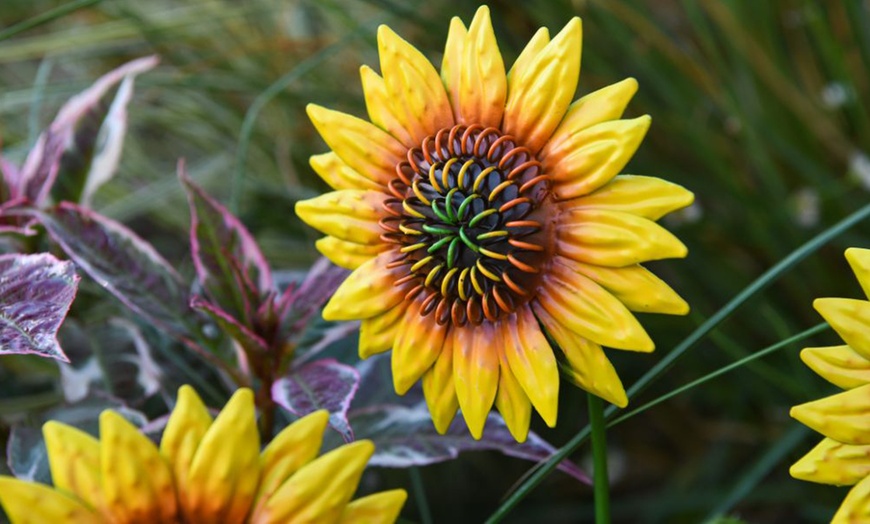 Image 15: 6 or 12 Pack of Metal Flower Stakes - Pansy / Sunflower / Daisy
