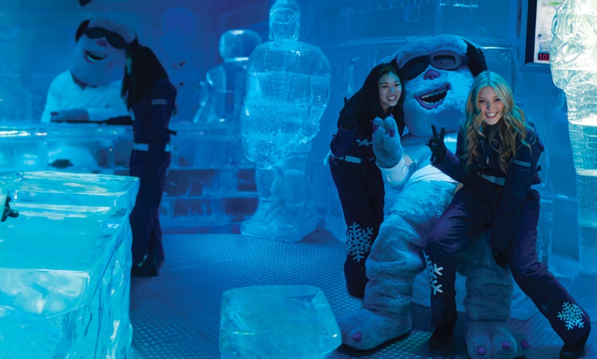 Image 6: Ice Bar: Entry with Drinks