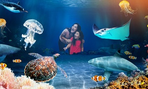 London Stay: 1 or 2 Nights and Rail Ticket With London Aquarium