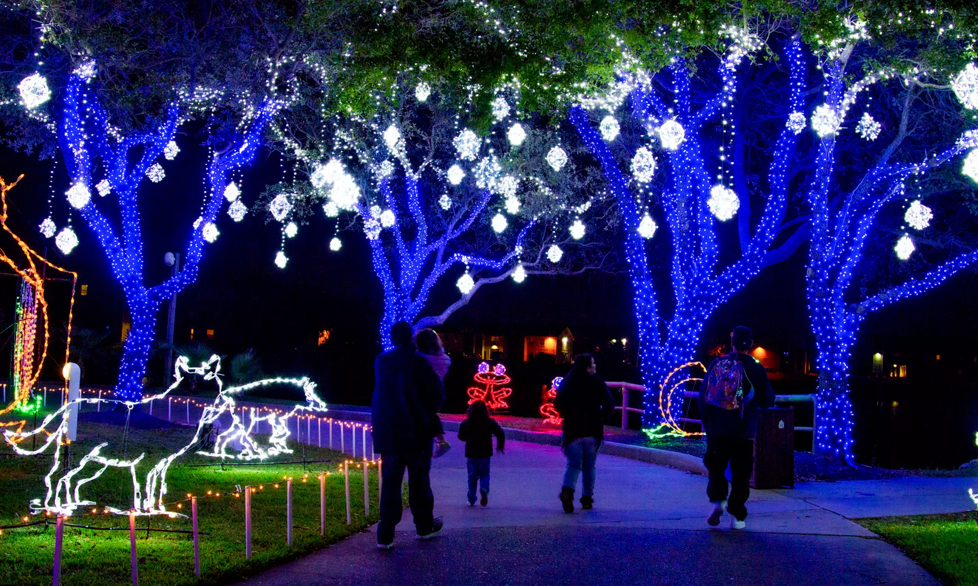 Celebrate The Season With Holiday Light Trails & Ice Land Sculptures—Evening Passes For Children, Adults,& Seniors