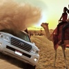 Image 3: Explore Dubai Morning City Tour & Evening Desert Safari with Dinner