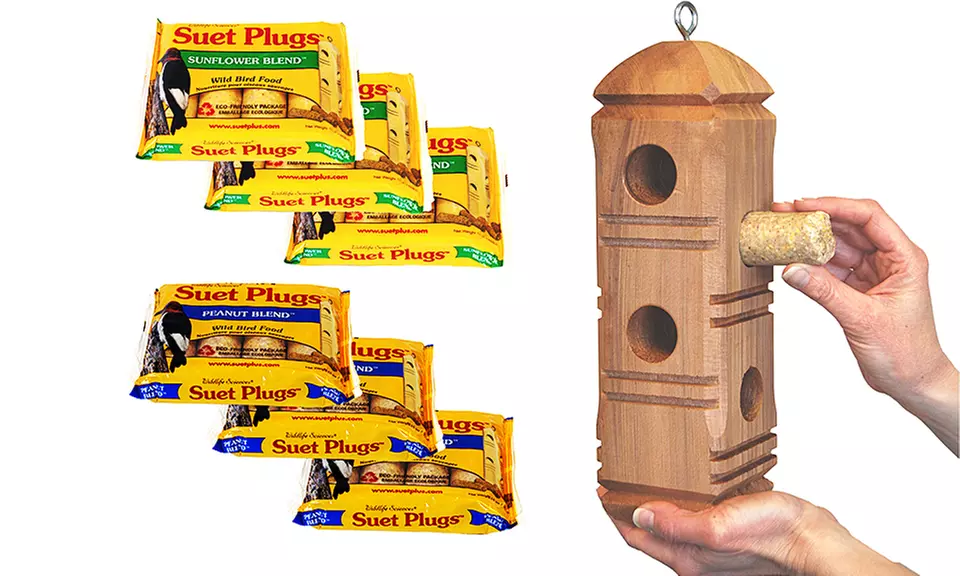 Suet Plug Variety with Bird Feeder (6-Pack) - Primary Image