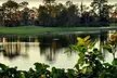 Tee off into Fun with Golf Lessons and Experience at Conine Golf Academy (Up To 55% Off) - Second Medium