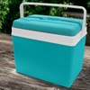 Image 20: Insulated Cooler Ice Box and Optional Ice Blocks 15L, 24L, 35L
