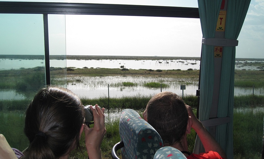 Image 2: Visita guiada al Parque Nacional de Doñana en 4x4 para adulto o niño