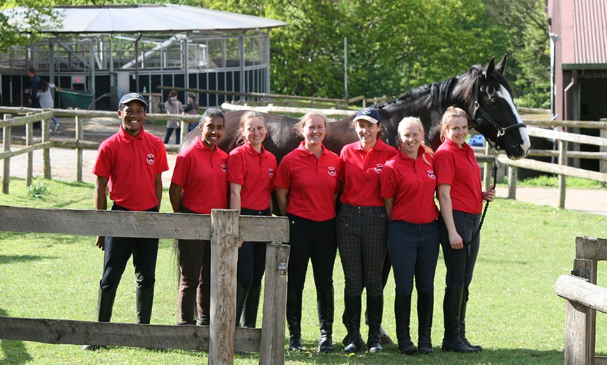 Image 4: Horse Riding With Hot Drink