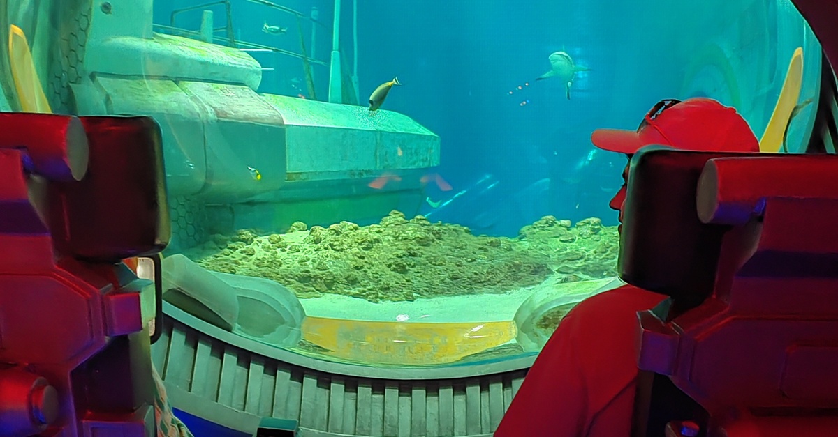 Emirates Park Zoo, The National Aquarium Or Snow Park Passes & More Emirates Park Zoo, The National Aquarium Or Snow Park Passes & More