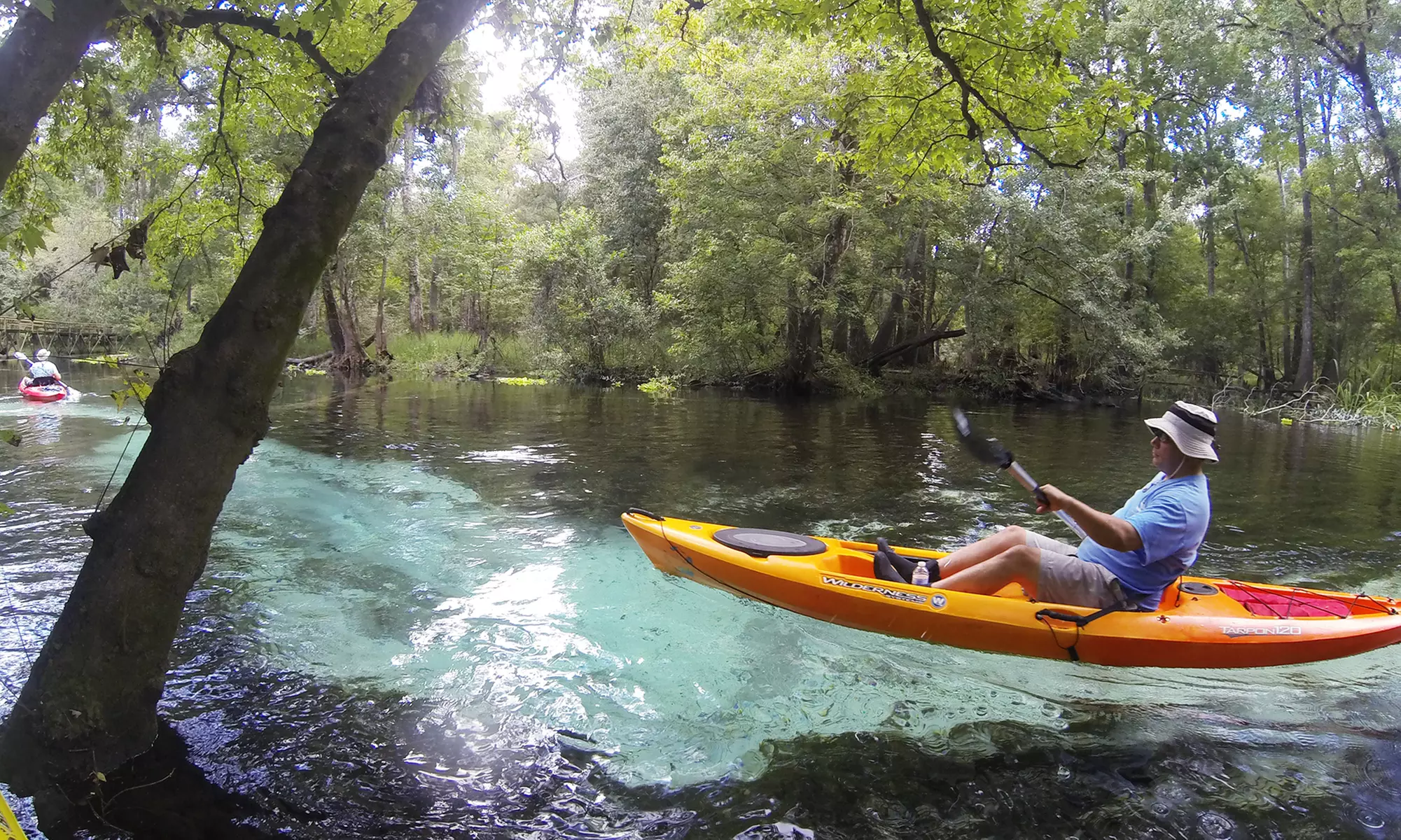 Half-Day Canoe Trip on the Santa Fe River for Two, Four, or Six from Rum 138 (Up to 42% Off) - Primary Image