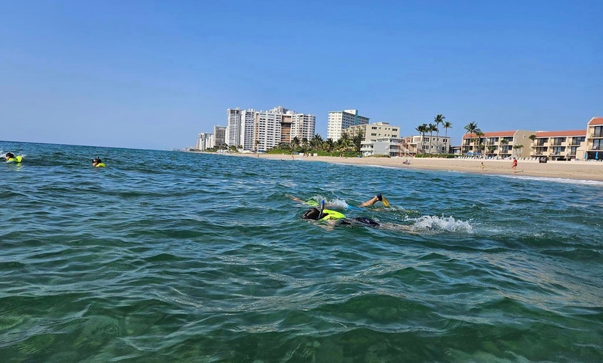 Image 6: Guided Snorkeling Adventure in Fort Lauderdale’s Crystal-Clear Waters