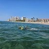 Image 6: Guided Snorkeling Adventure in Fort Lauderdale’s Crystal-Clear Waters