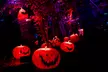 Tim Burton’s The Nightmare Before Christmas Light Trail from Sept 25 - Nov 30 - Second Medium