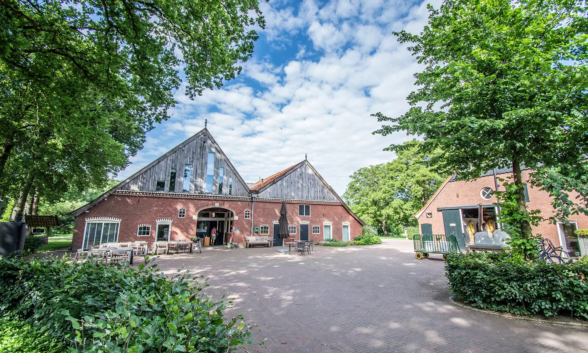 Twente: Safari Lodge-tent XL of Sterrenkubus met ontbijt