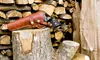 Concealed-Handgun-Licensing Class for One, Two, or Four at Your CHL Texas (Up to 31% Off)