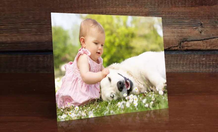 $5 for an 8"x10" Photo on Metal Print from ImageCom.com ($69.95 Value) - Primary Image