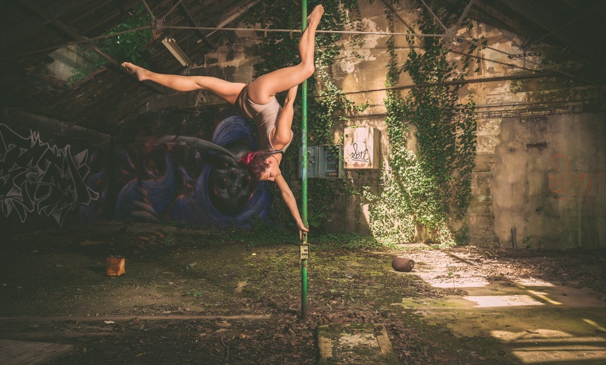 Image 1: Cours de pôle dance chez Spin & Fly Pole Dance Nancy