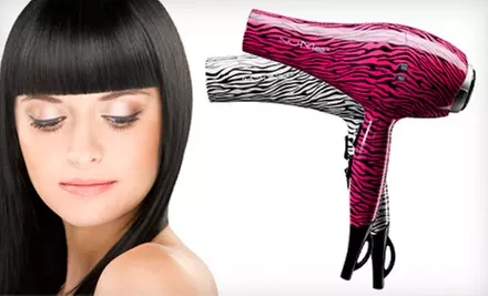 $69 for a NuMe Ionic Hair Dryer in White Zebra or Hot-Pink Zebra. Shipping Included ($306.86 Value).  - Primary Image