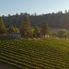 Image 3: Up to 40% Off Wine Tastings at Docmanov Vineyards and Winery