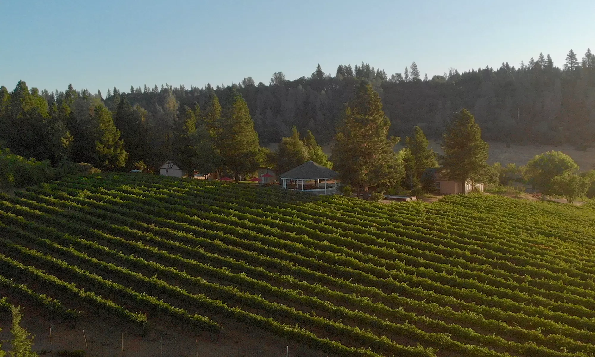 Up to 40% Off Wine Tasting Packages - Fenton Herriott Vineyards
