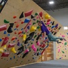 Image 3: Indoor Climbing & Bouldering Adventure