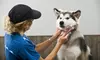 Up to 40% Off at Woof and Fur